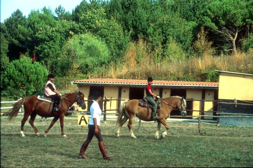 Antico Colle Toscano Resort Arcidosso Exterior photo